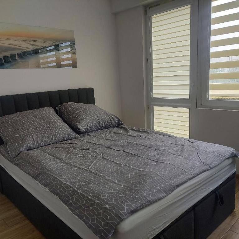 Apartament Mira Жешув Экстерьер фото